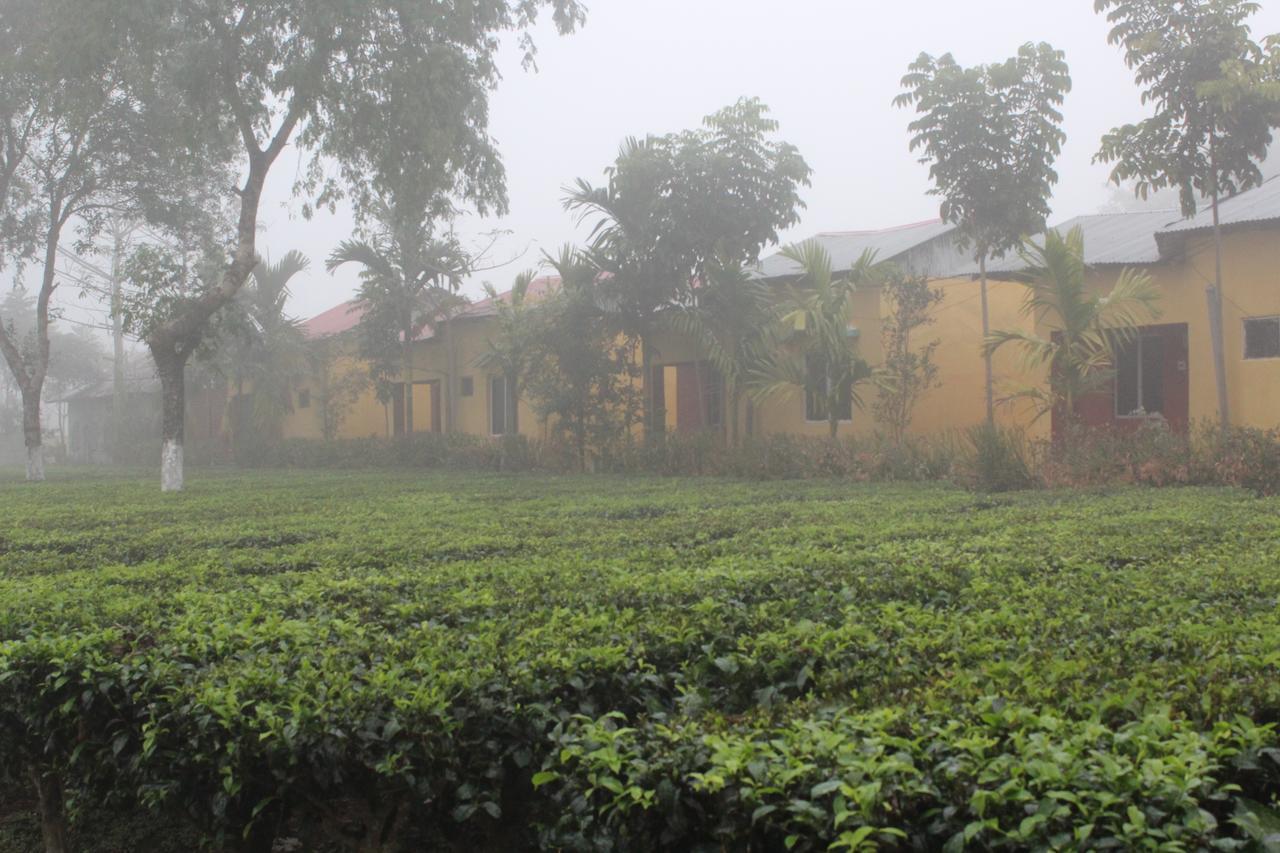 The Mystic Forest - A Tea Garden Resort At Dooars Madari Hat Exterior foto